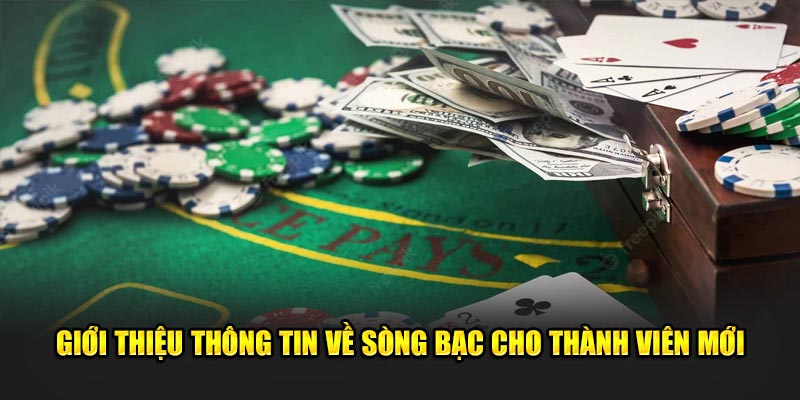 Giới thiệu thông tin về sòng bạc cho thành viên mới