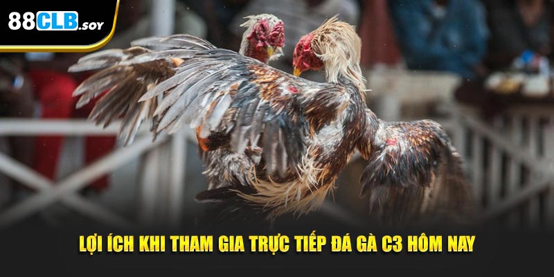 Lợi ích khi tham gia trực tiếp đá gà c3 hôm nay