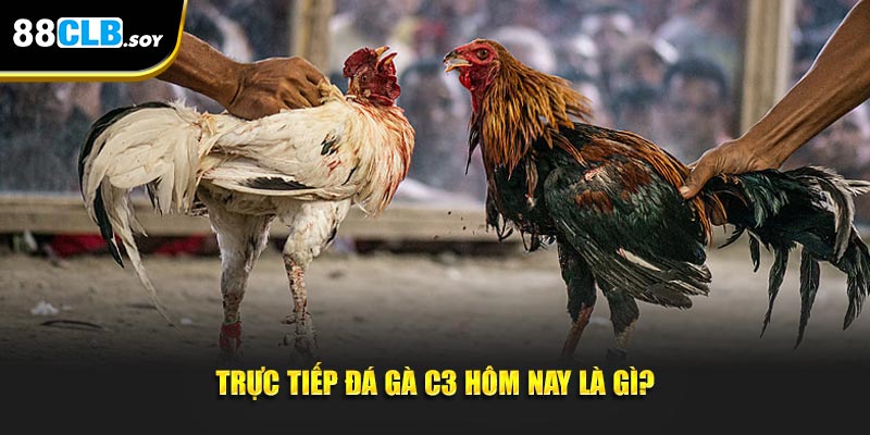 Khái niệm về trực tiếp đá gà c3 hôm nay là gì?