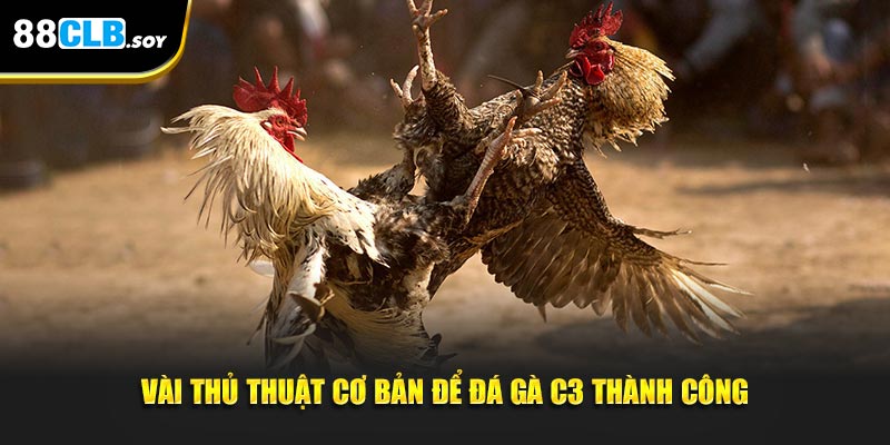 Vài thủ thuật cơ bản để đá gà C3 thành công