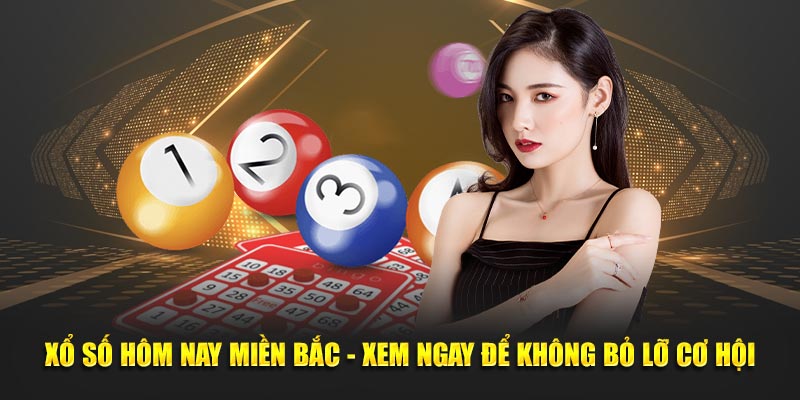 Xổ Số Hôm Nay Miền Bắc - Xem Ngay Để Không Bỏ Lỡ Cơ Hội