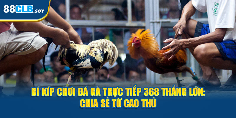 Đá gà trực tiếp 368 là nơi cung cấp các trận đấu gà đỉnh cao. Khám phá cách chơi và chiến lược để thắng lớn khi chơi tại 88CLB với hướng dẫn chi tiết từ các cao thủ.