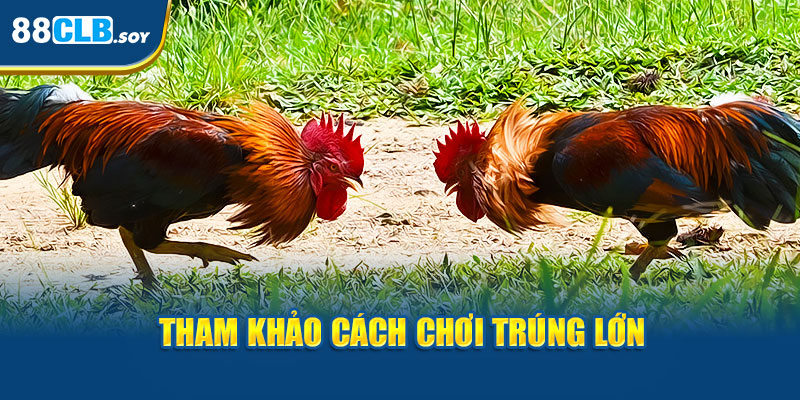 Tham khảo cách chơi trúng lớn tại 88CLB game