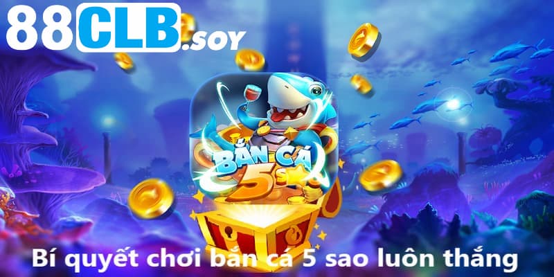 Bí quyết chinh phục đại dương cho người mới