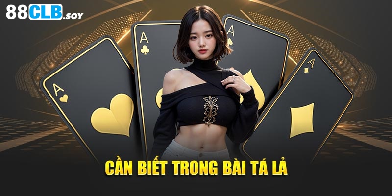 Những điều cần biết trong bài tá lả