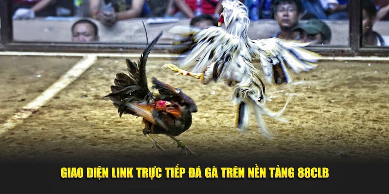 Giao diện link trực tiếp đá gà trên nền tảng 88CLB