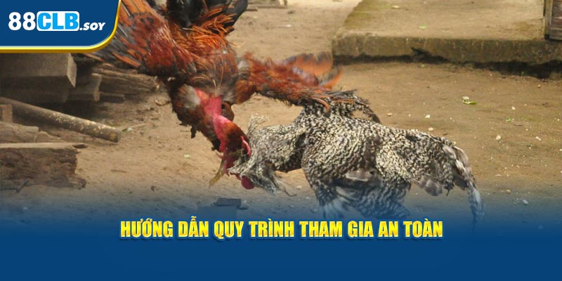 Hướng dẫn quy trình tham gia chọi kê an toàn