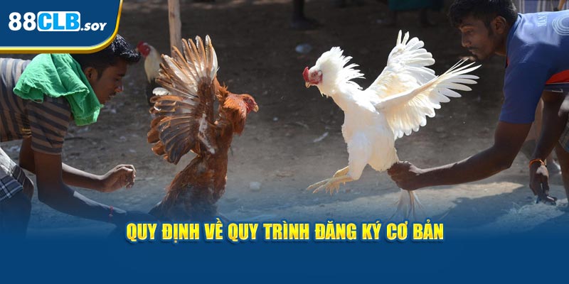 Quy định về quy trình đăng ký cơ bản